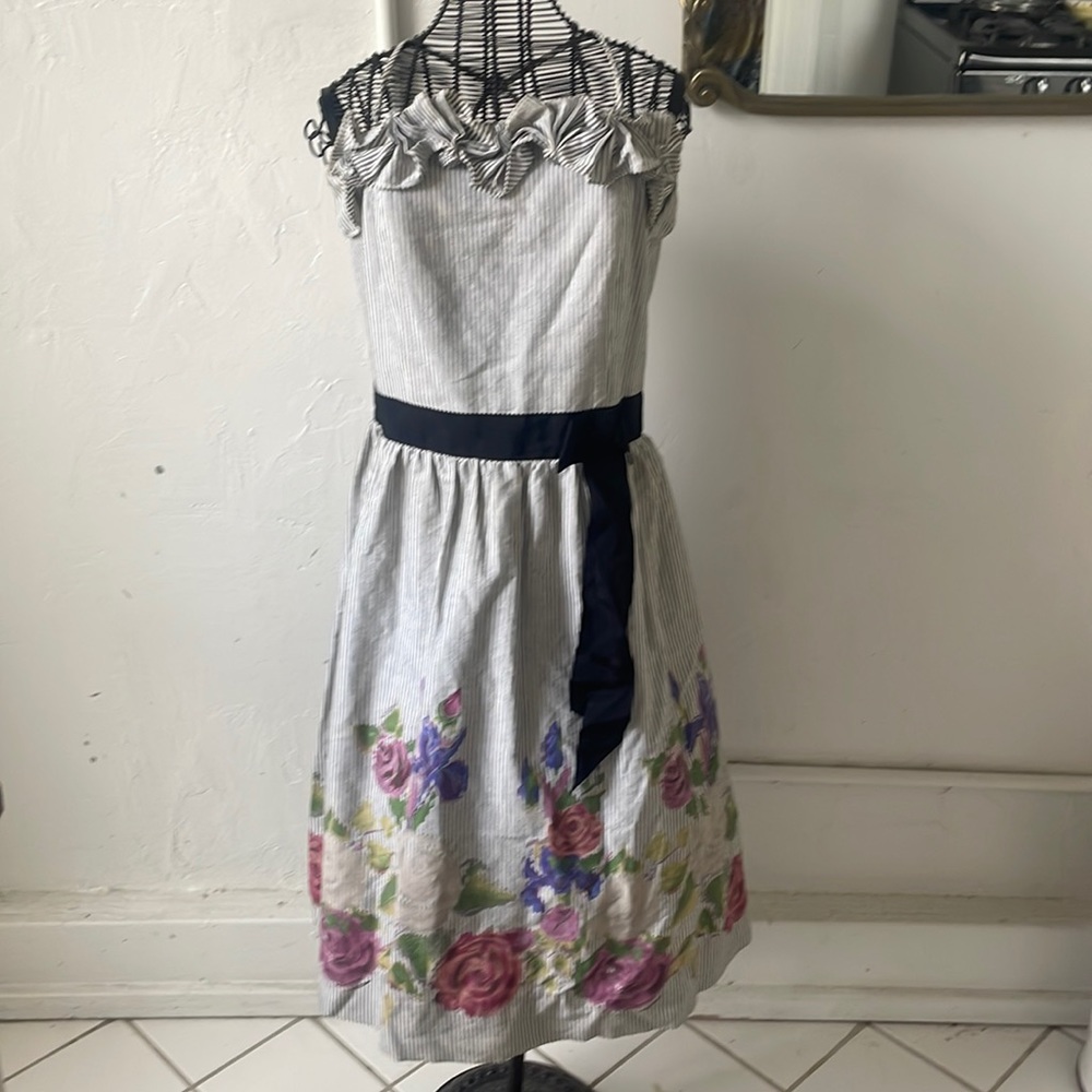 Anthropologie brand Velvet 
Spring Floral Dress